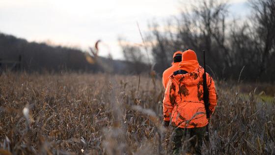 Wisconsin Hunters Harvest Fewer Deer on Opening Weekend