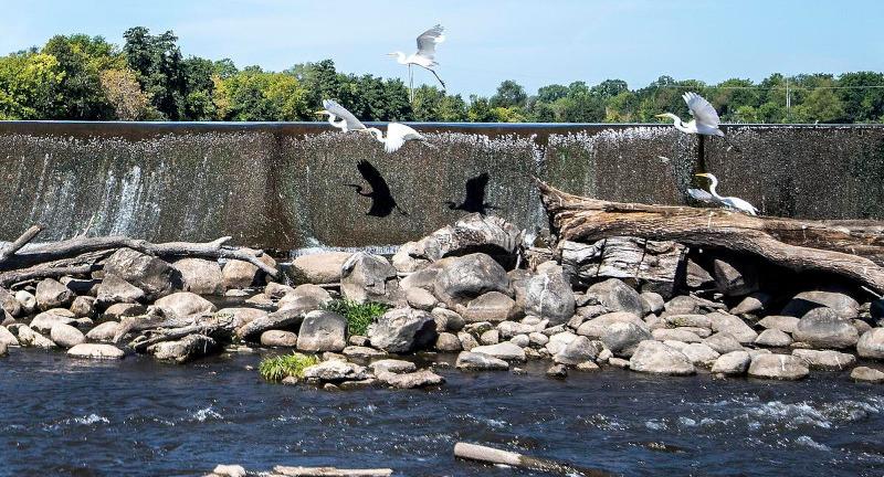 Budget deal’s $15 million in earmarks for Robin Vos’ district highlight politicization of Wisconsin’s conservation funding